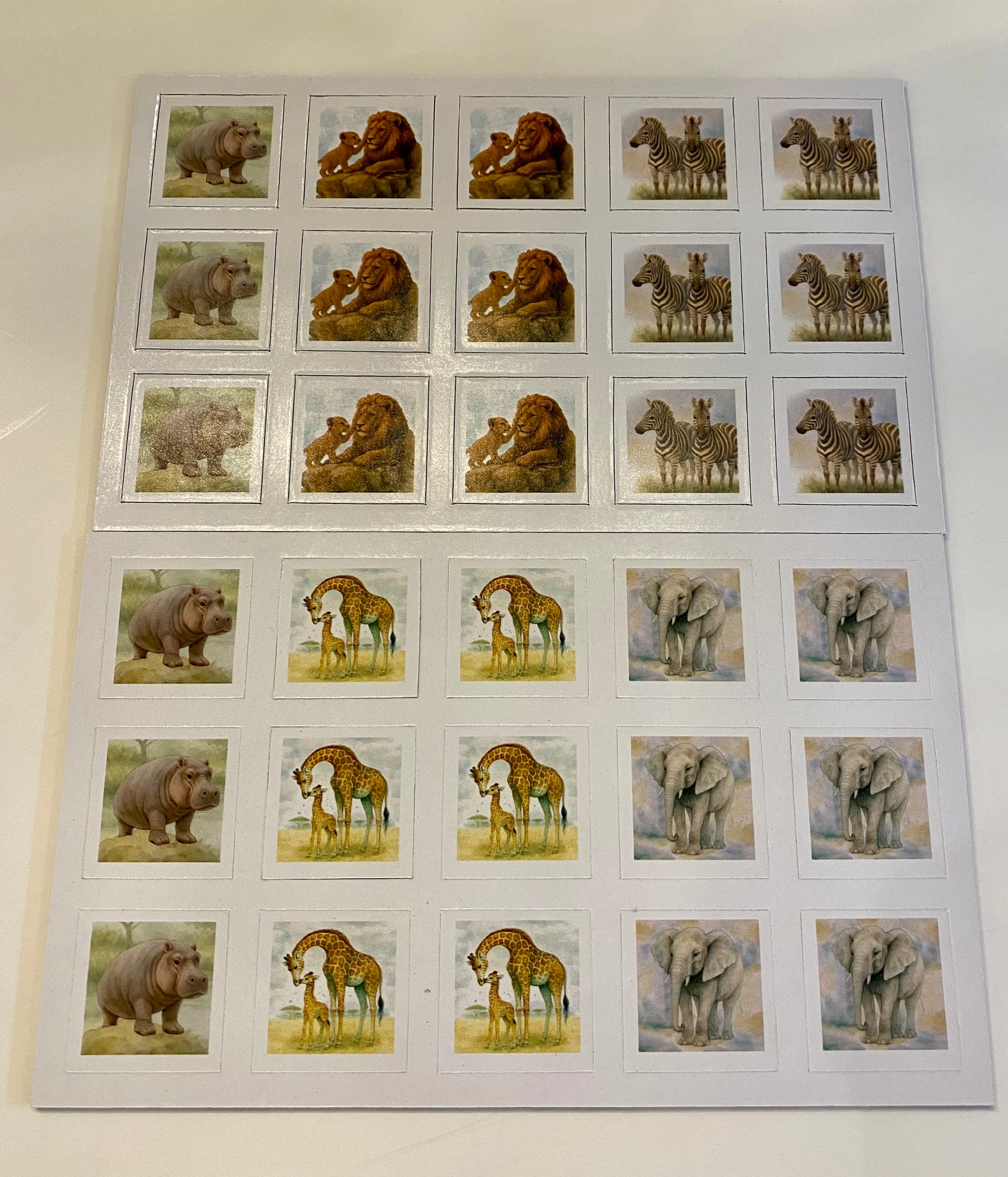 Sheet of animal photos featuring various safari species on a white background